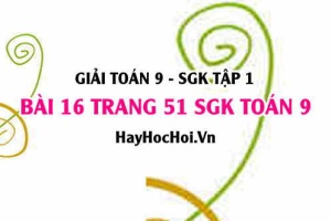 Giải bài 16 trang 51 SGK Toán 9 tập 1